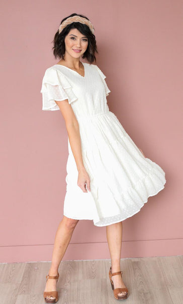 Amy Swiss Dot Ivory Dress | A Closet Full of Dresses